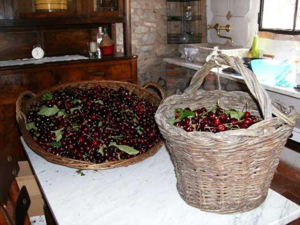 Cascina La Buca Guest House Castello di Serravalle ภายนอก รูปภาพ